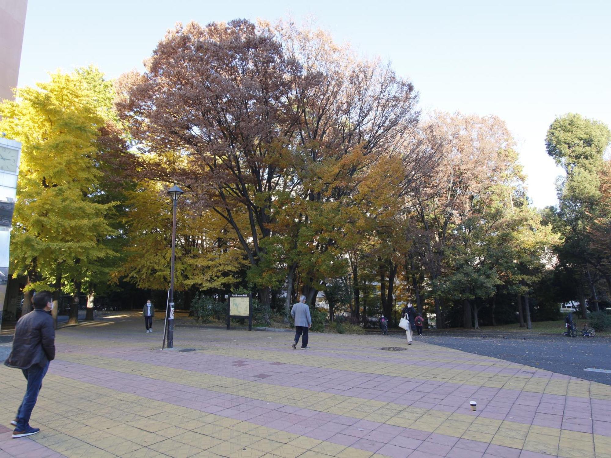 和貴ビル Apartment Tokyo Exterior photo